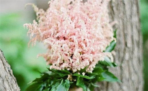 手把件木雕生肖鼠制作详解教程