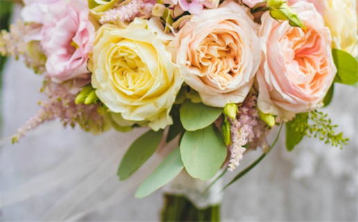 属鼠的最好婚配时间_属鼠的最佳婚配是