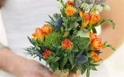 鱼和双鱼座的爱情观一样吗(鱼和双鱼座的爱情观一样吗知乎)