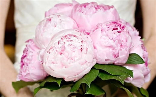 双子座男生爱美女吗(双子座男生爱美女吗知乎)