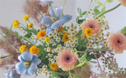 男命八字无财的深层含义与影响解析