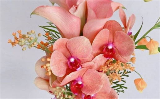 十二生肖鼠运势2021年(十二生肖鼠运势2021年运程)