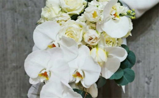 天蝎座女生如何找到真正的幸福秘籍