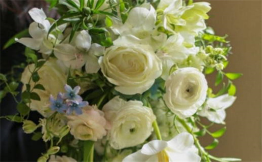 属鼠男人婚姻运势分析及未来发展建议