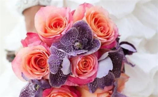 金牛座女生感情不自信的原因与提升方法