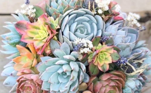 六爻中每个爻各代表什么_六爻中每个爻各代表什么意思