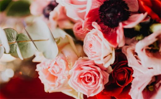 属兔跟属鼠的合不合婚_属兔跟属鼠的合不合婚姻