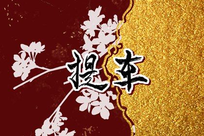 今天2026年02月11日提取爱车老黄历不推荐吗,农历二〇二五年腊月廿四提车日子